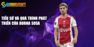 Tiểu sử và quá trình phát triển của borna sosa